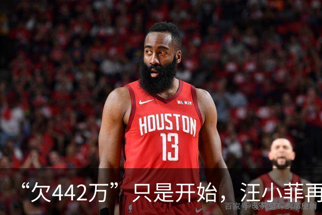 “欠442万”只是开始，汪小菲再迎2大重锤，张兰担心的事发生
