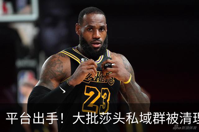 平台出手！大批莎头私域群被清理，饭圈乱象整治，全网纷纷叫好