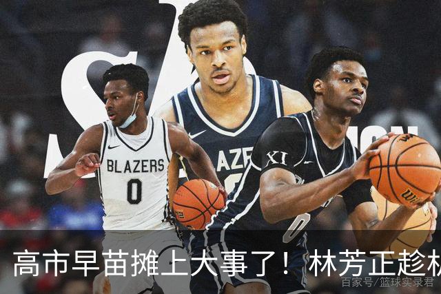 高市早苗摊上大事了！林芳正趁机逼宫高市，要为远大前程撒手一搏